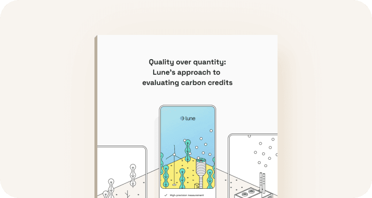 blog-Quality over quantity: how we evaluate climate projects at Lune-image