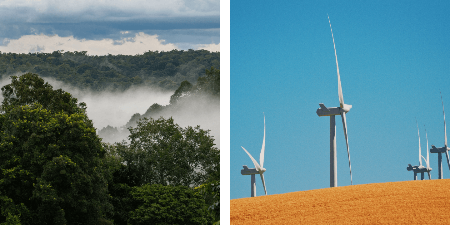 Photos showing a forest (left) and wind turbines (right)