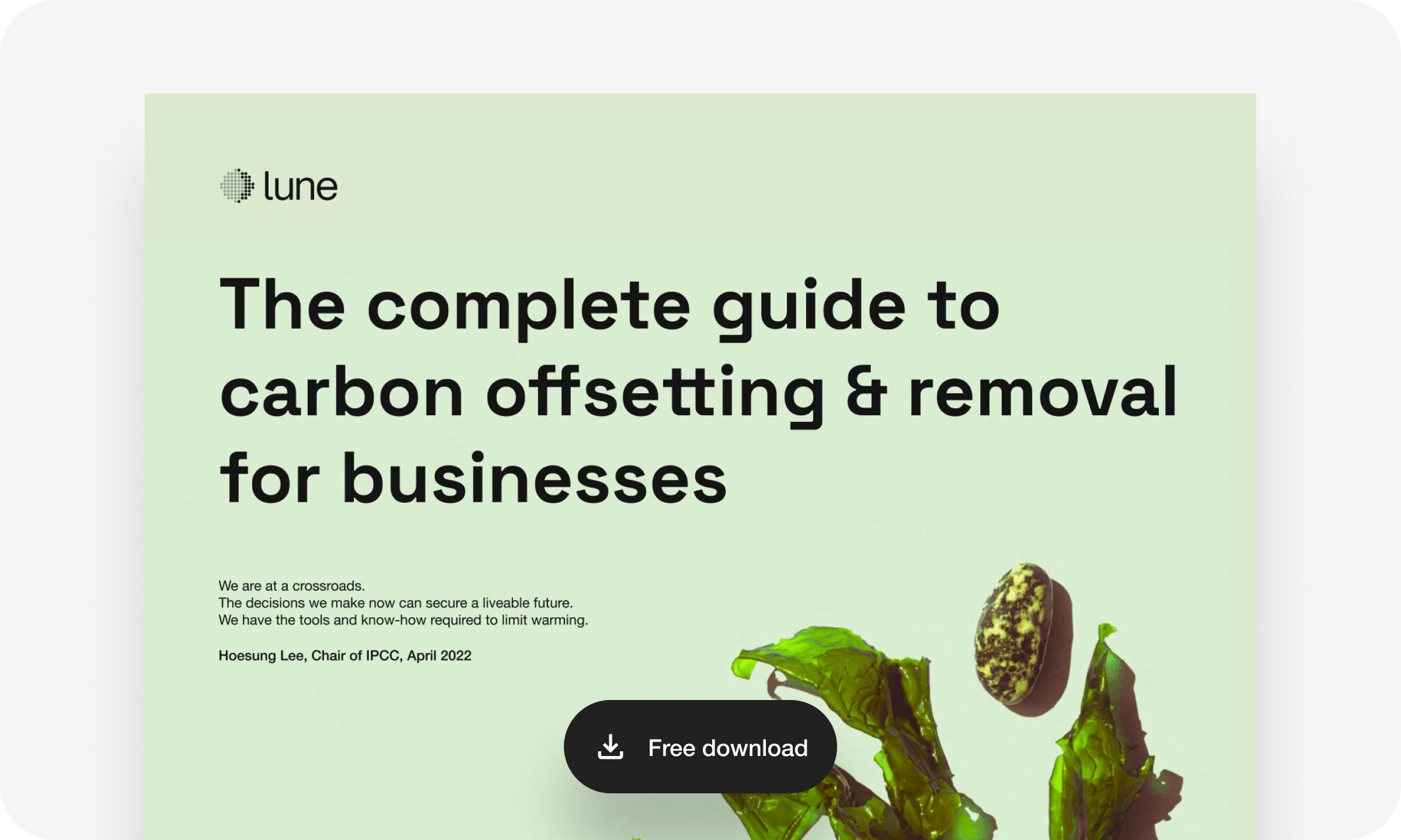 The complete guide to carbon offsetting and removal for businesses. Free download.