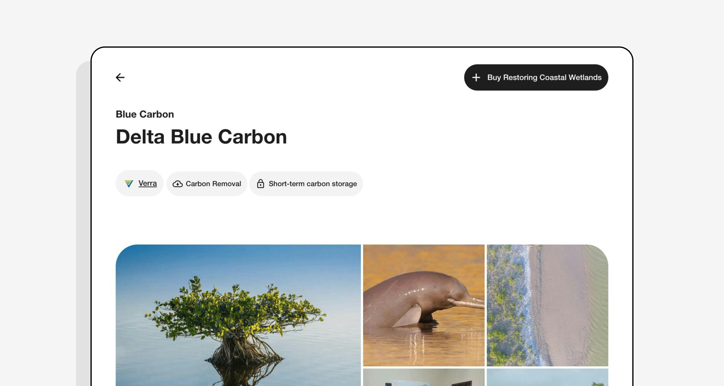 Delta Blue Carbon, a mangrove carbon project, shown in the Lune dashboard