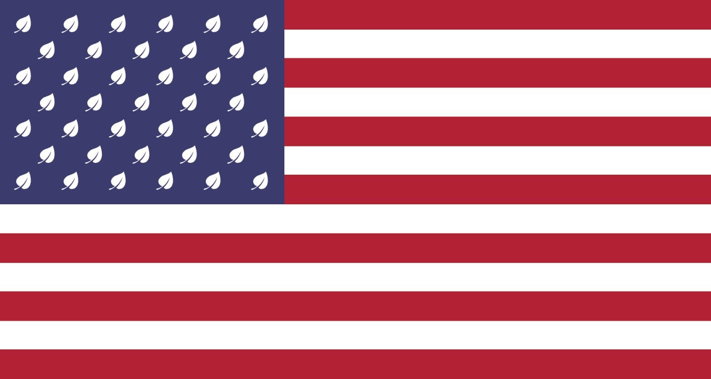 US flag with leaves to indicate sustainability