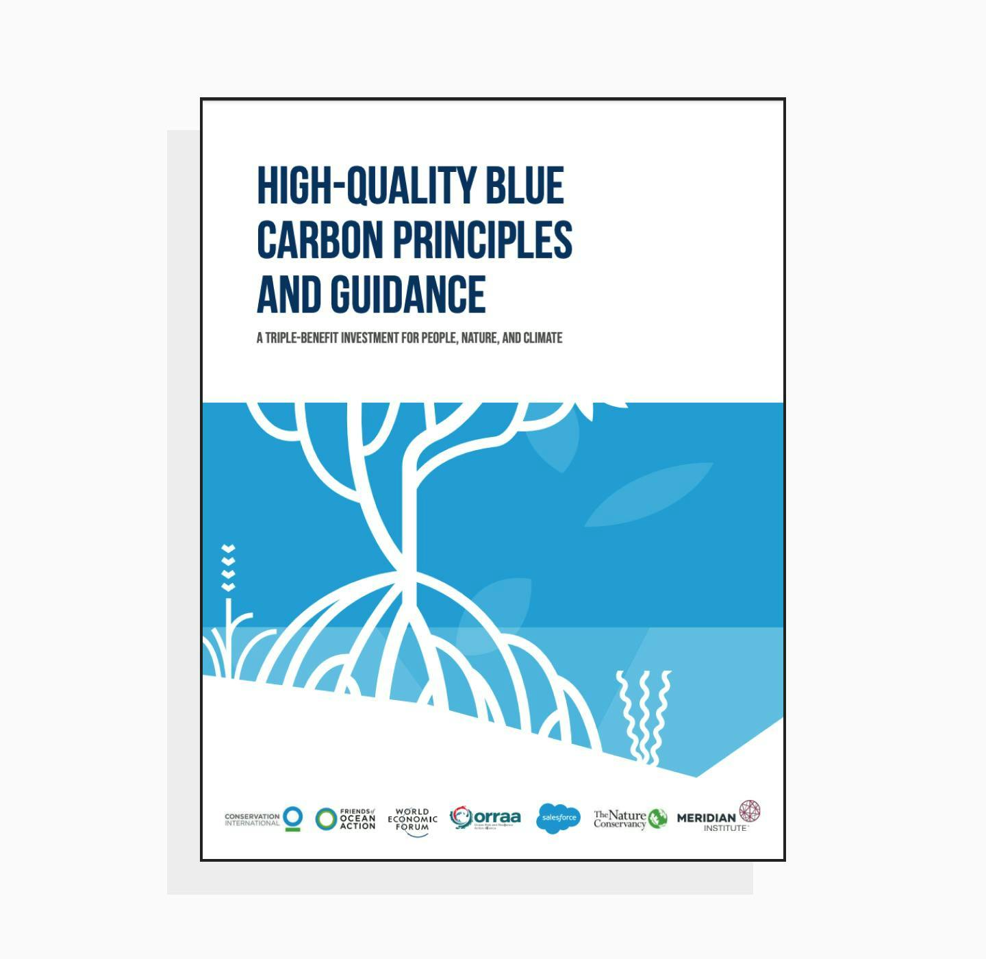 High-quality blue carbon principles and guidance