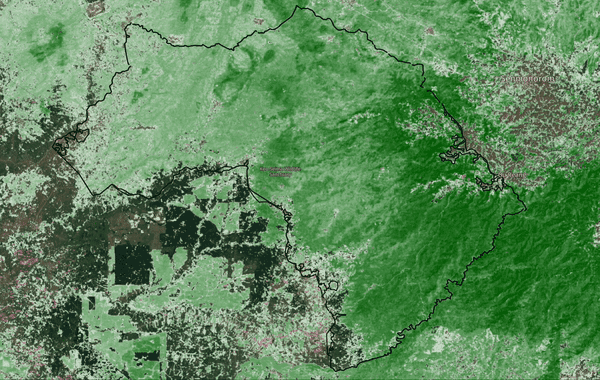 GIF from Global Forest Watch, showing tree loss cover in the areas surrounding Keo Seima Wildlife Sanctuary since 2000
