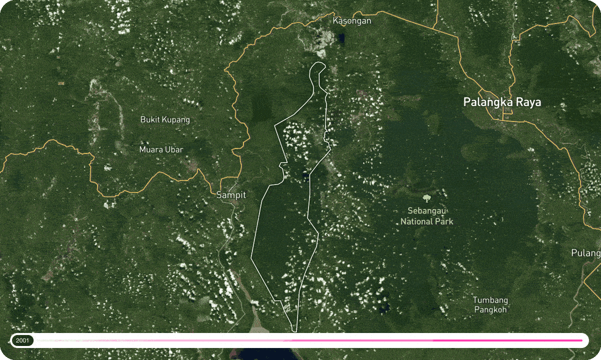 2001 – 2020 forest loss around the Katingan Peatlands project. Hansen/UMD/Google/USGS/NASA, powered by Resource Watch.
