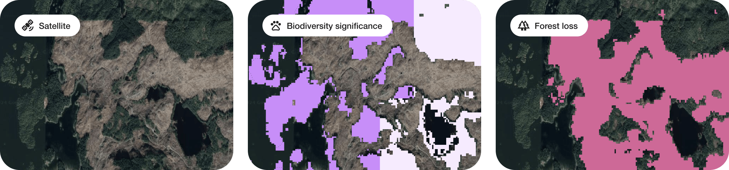 A comparison of forest biodiversity significance, satellite and forest loss maps to show the impact of heavy deforestation nearby the Kootznoowoo project area.