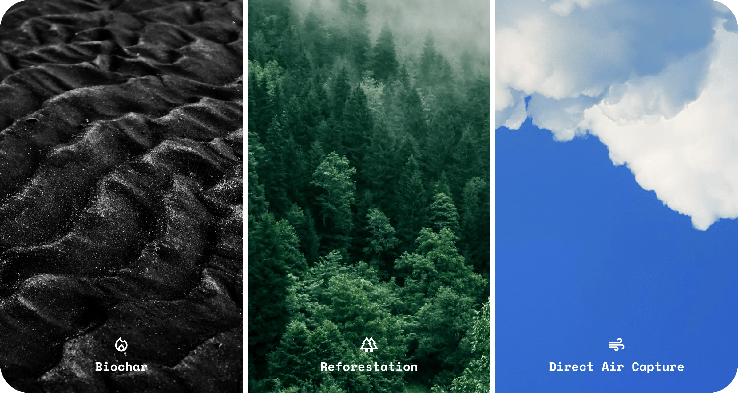Three photos showing different carbon offset project types – biochar, reforestation, direct air capture