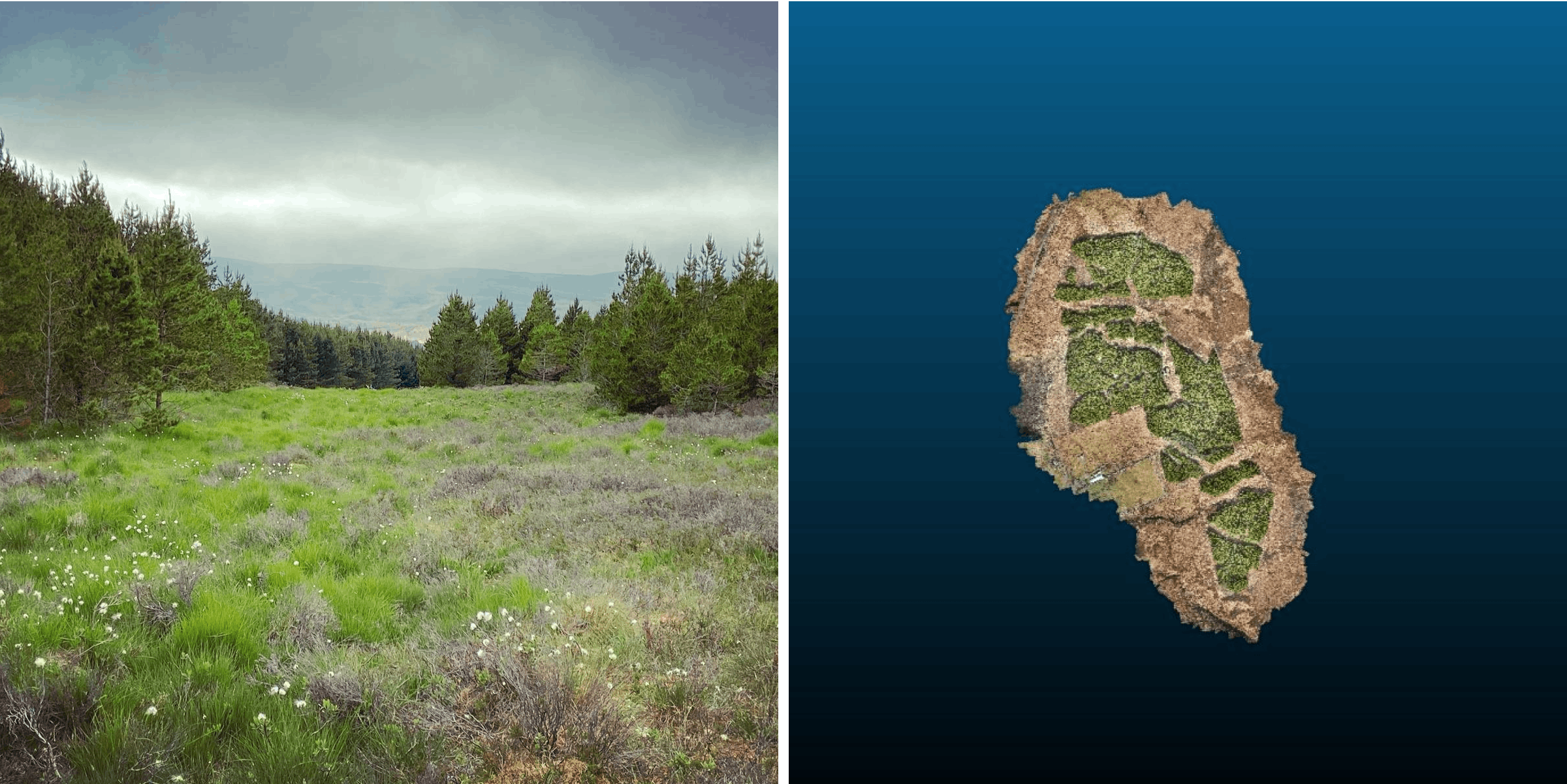 Left-hand photograph: the Ackron Mixed forest. Right-hand photograph: satellite monitoring of the Ackron Mixed forest.