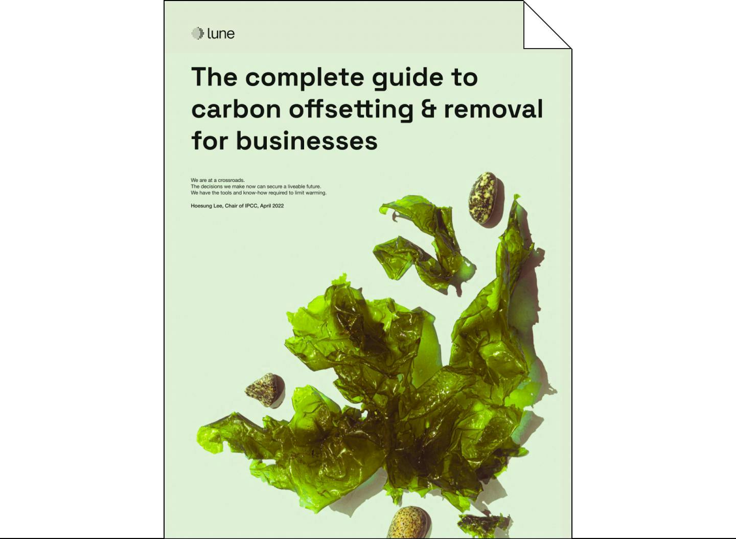 The complete guide to carbon offsetting and removal for businesses – image of the front cover of the guide.