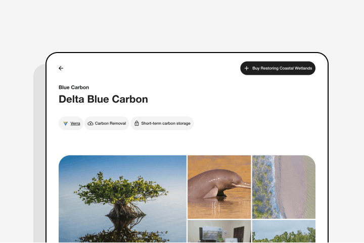 Delta Blue Carbon's project page within the Lune dashboard
